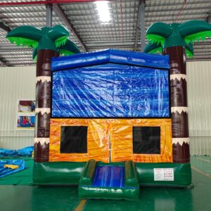 Commercial Grade Bouncer